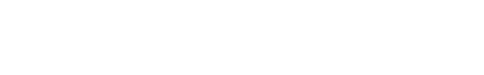 THE LANES GROUP